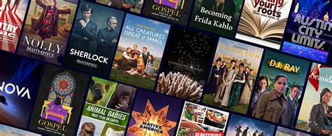 kqed passport|kqed passport shows.